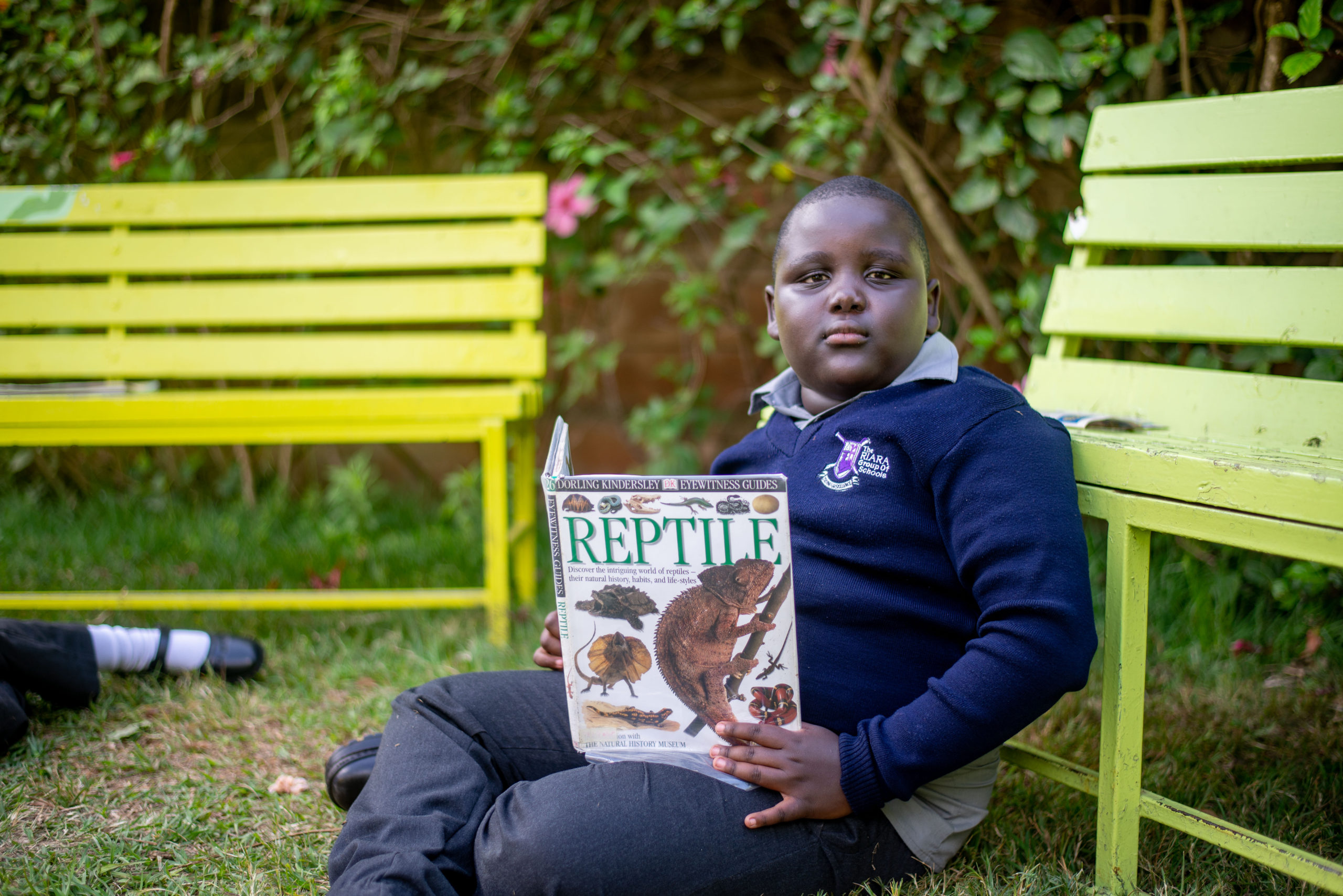 Riara springs primary school pupil reading Reptile book outdoors