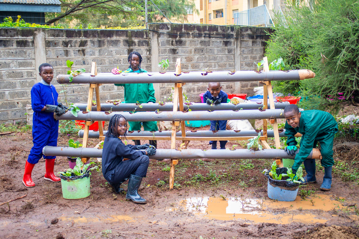 Riara junior high students planting spinach on a multi storey pipe garden